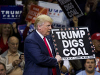Republican presidential nominee Donald Trump  holds a sign supporting coal during a rally at Mohegan Sun Arena in Wilkes-Barre, Pennsylvania on October 10, 2016. / AFP / DOMINICK REUTER        (Photo credit should read DOMINICK REUTER/AFP/Getty Images)