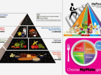 It’s Time to Reshape the Food Pyramid to Save the Climate